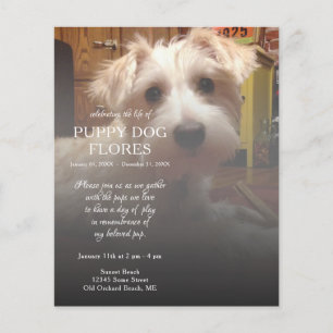 Lámina conmemoración de la foto en el lado derecho