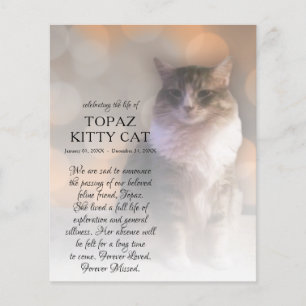 Lámina conmemoración de la foto en el lado derecho