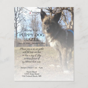 Lámina conmemoración de la foto en el lado derecho