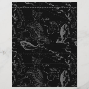 Lámina Constelación de Piscis Hevelius 1690 sobre negro