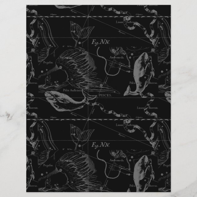 Lámina Constelación de Piscis Hevelius 1690 sobre negro (Anverso)