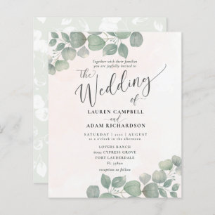 Lámina Coral Verde de color de agua para eucalipto ruso d