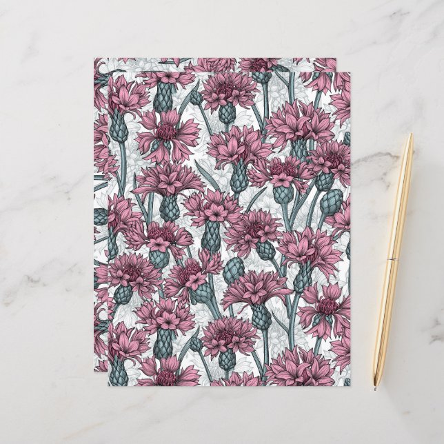 Lámina Cornflores rosas, flores silvestres en blanco (Anverso/Reverso In Situ)