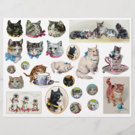 Lámina Cortes delicados de gatos vintage de Helena Maguir