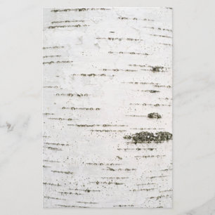 Lámina Corteza de Birch