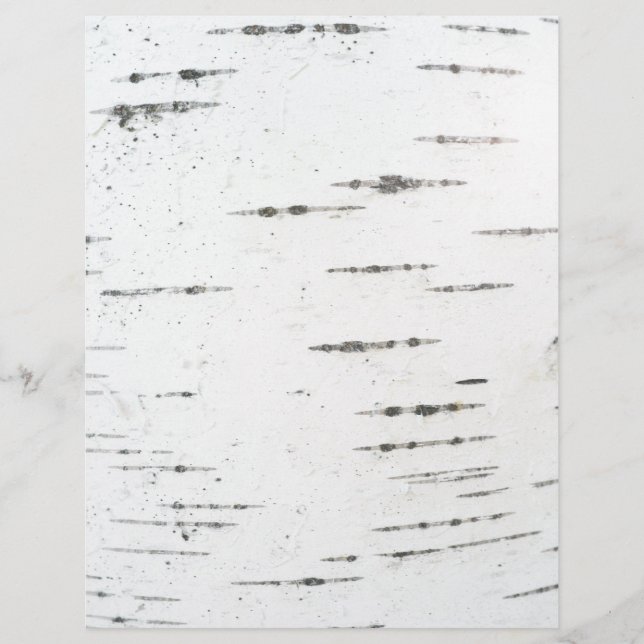 Lámina Corteza de Birch (Anverso)