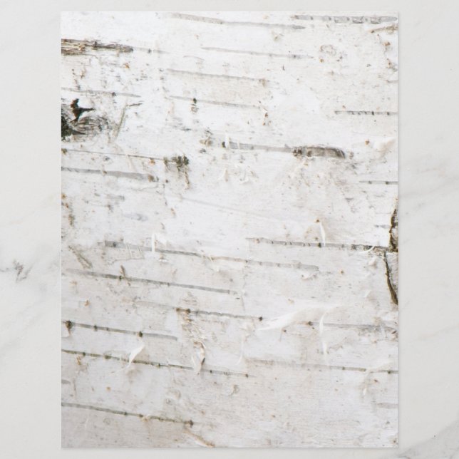 Lámina Corteza de Birch (Anverso)