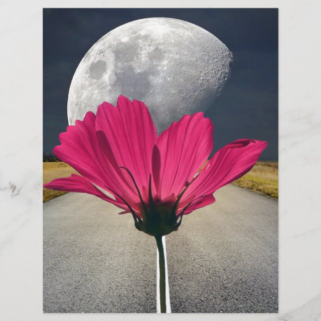 Lámina Cosmos de Spacey (Anverso)