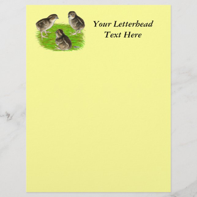 Lámina Costillas de codorniz blanco Bobwhite (Anverso)