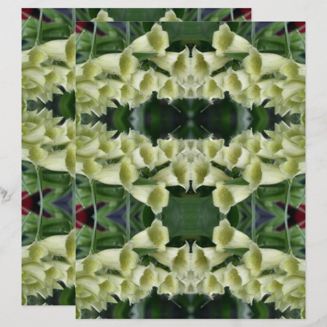 Lámina Creamy Foxglove Flower Resumen Papel de cuadernill (Anverso / Reverso)