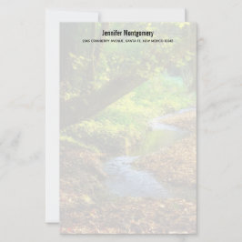 Lámina Creek forestal Hermoso paisaje natural Foto