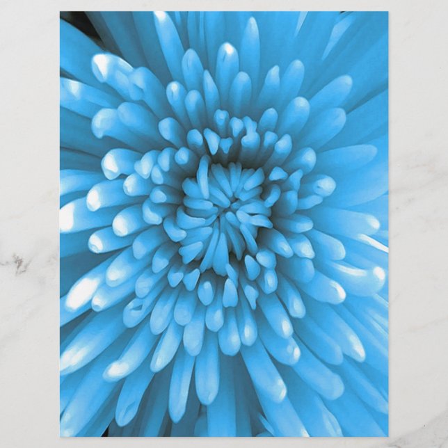 Lámina Crisantemo azul (Anverso)