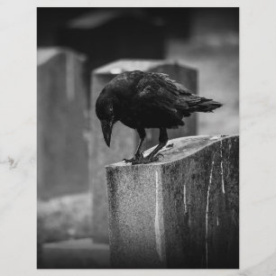 Lámina Crow en el cementerio caído