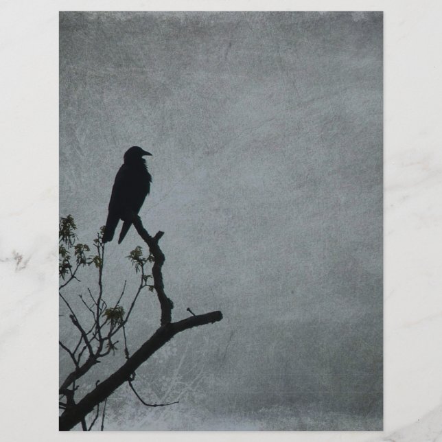 Lámina Crow Magnético (Anverso)