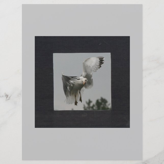 Lámina Cuadrado negro sobre marco de foto gris (Anverso)