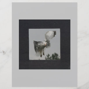 Lámina Cuadrado negro sobre marco de foto gris