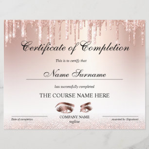 Lámina Curso de entrega de certificados de finalización