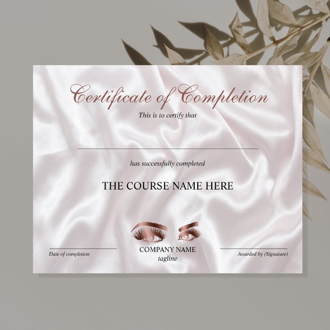 Lámina Curso de entrega de certificados de finalización (Subido por el creador)