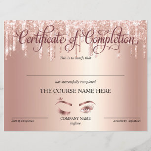 Lámina Curso de entrega de certificados de finalización