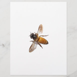 Lámina Cute abeja de miel abeja abeja bombón