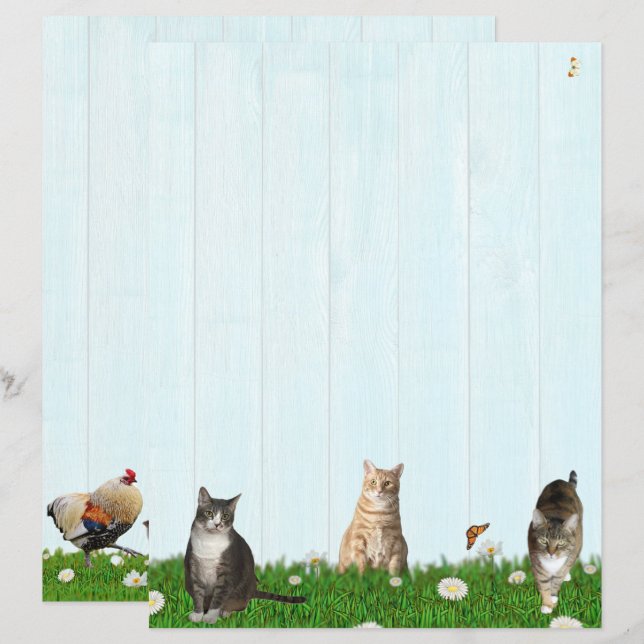 Lámina Cute Cat Stationery - Added chickens on Back (Anverso / Reverso)