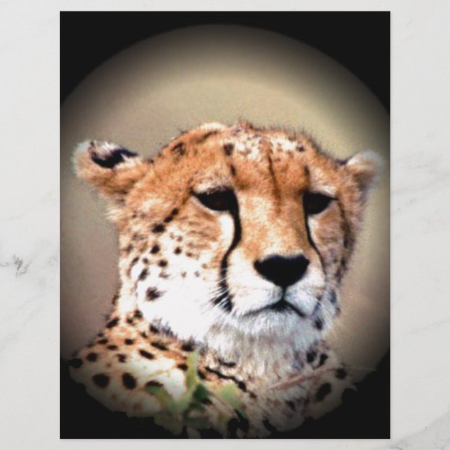 Lámina Cute Guepardo Marcas de Lágrimas Hakunamatata (Anverso)