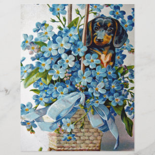 Lámina Dachshund y Forget-Me-Nots