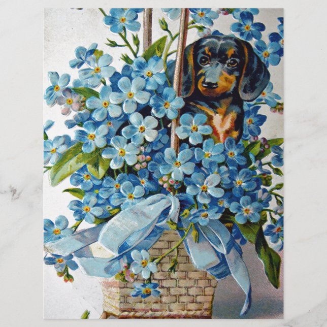 Lámina Dachshund y Forget-Me-Nots (Anverso)