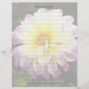 Lámina Dahlia morada, amarilla y blanca