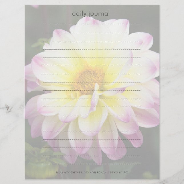 Lámina Dahlia morada, amarilla y blanca (Anverso)