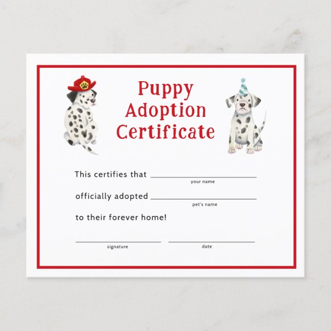Lámina Dalmatianos Fiesta Papúa Certificado de Adopción (Anverso)