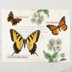 Lámina Dama pintada de Monarca Trasera de Mariposa Vintag
