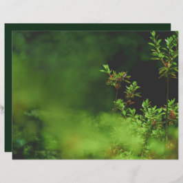 Lámina Dark green forest Scrapbook Paper