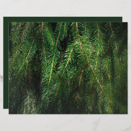 Lámina Dark green spruce tree, winter Scrapbook Paper