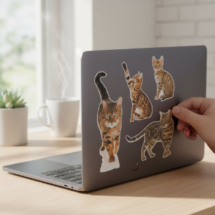 Lámina de pegatinas de gato Bengal personalizada