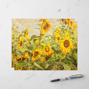 Lámina Decoupage del campo del girasol Antigüedad de la v