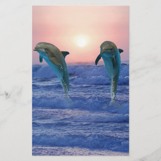 Lámina Delfín Mular al Amanecer (Anverso)