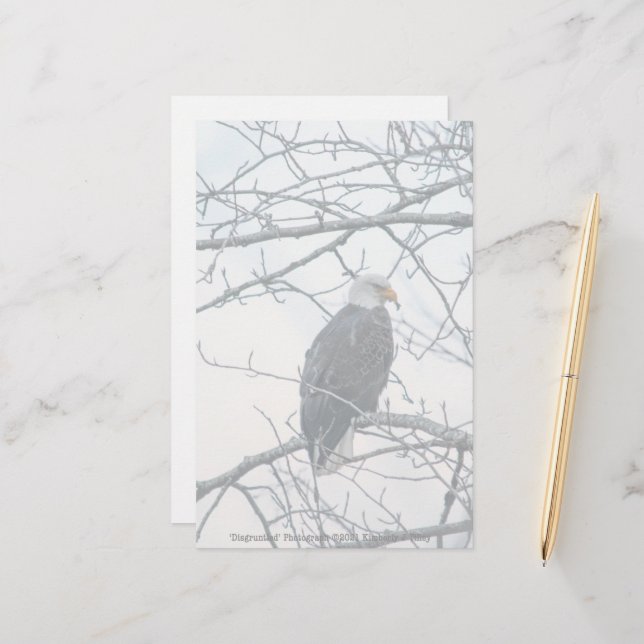 Lámina Descontento (Anverso/Reverso In Situ)