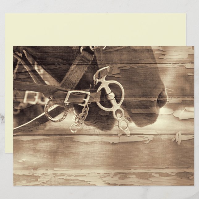 Lámina Desenlace de madera Rústica de la Sepia Occidental (Anverso / Reverso)