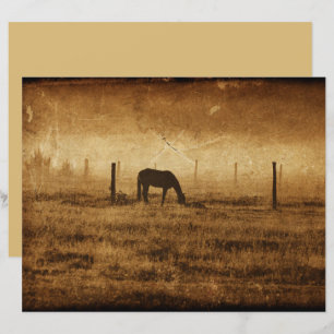 Lámina Desenlace de textura rústica de cosecha de caballo