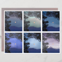 Diario basura Faerie Skies Moon Trees Fantasy 13-1