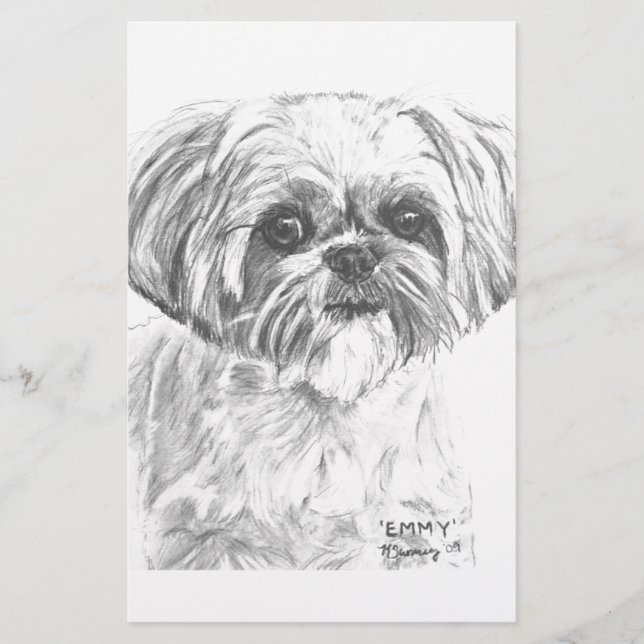 Lámina Dibujo de Shih Tzu (Anverso)
