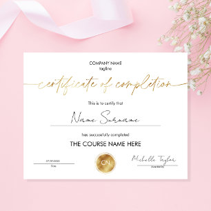 Lámina Diploma de Certificado de Participación de Finaliz