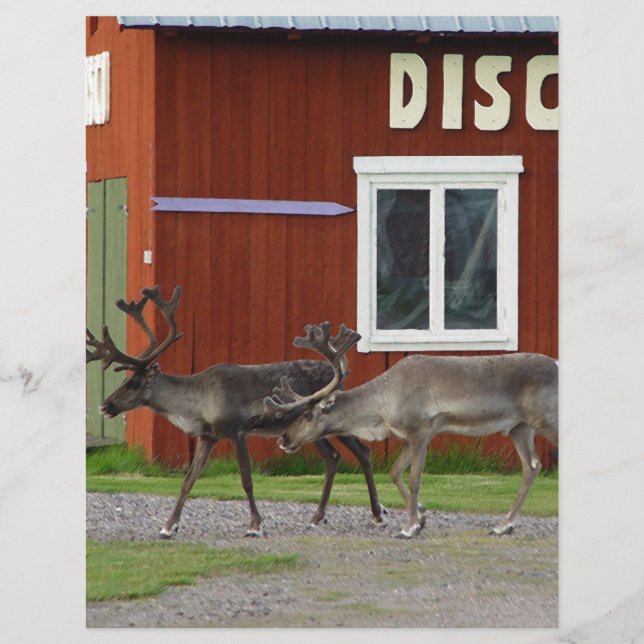 LÁMINA DISCO DEER (Anverso)