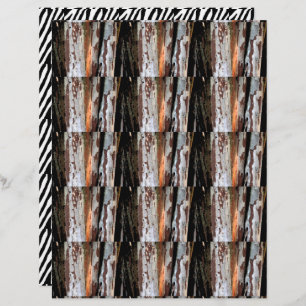 Lámina Diseño bilateral Jungle 1