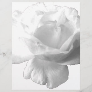 Lámina Diseño de rosa blanca