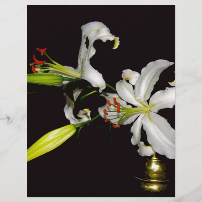 Lámina Diseño irlandés - Colección de bronce y flores (Anverso)