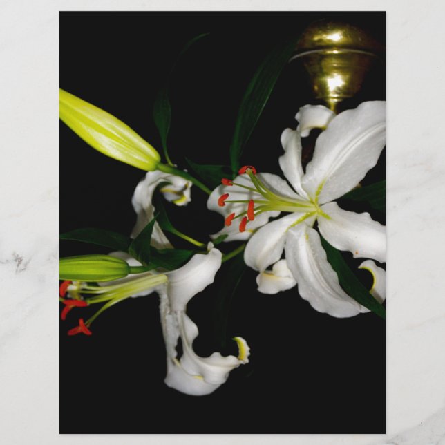 Lámina Diseño irlandés - Colección de flores (Anverso)