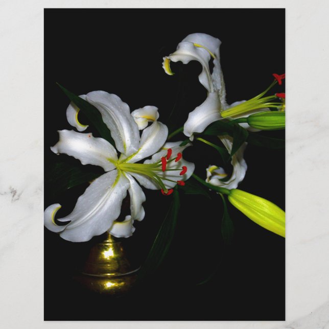 Lámina Diseño Irlandés-Diseño de latón y flores (Anverso)