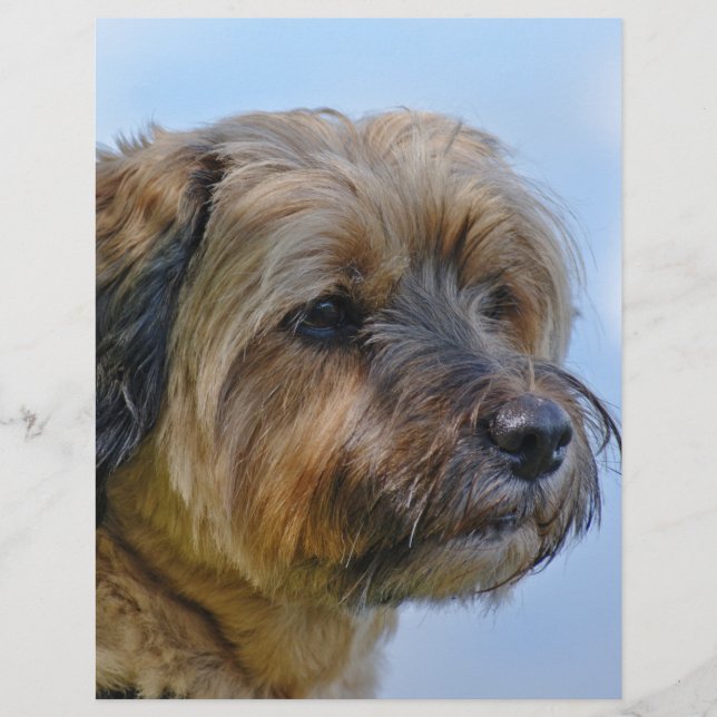 Lámina Diseño Territorial (Anverso)